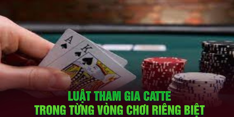 Thể lệ mèo tham gia từng vòng riêng biệt 