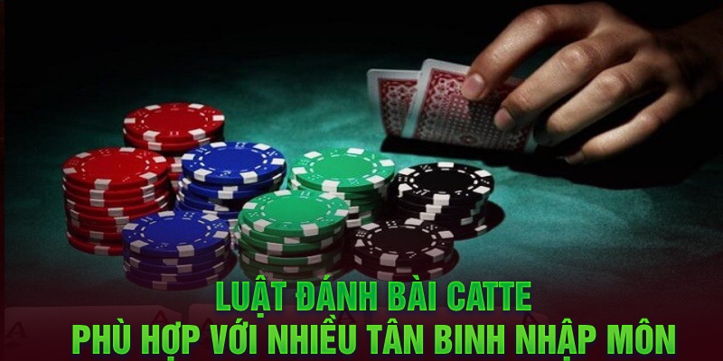 Luật chơi đánh bài Catte phù hợp với nhiều người mới bắt đầu 