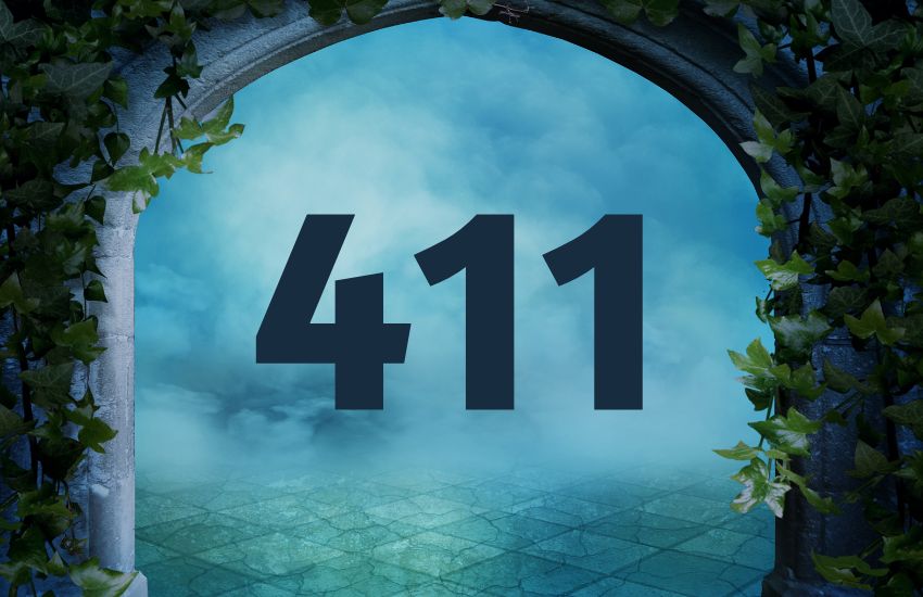 411 number deals