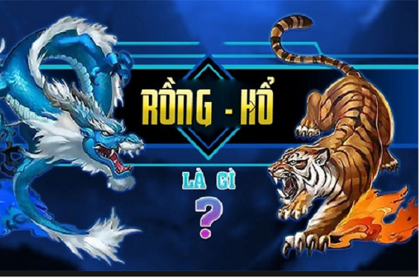 Rồng Hổ là gì? Mẹo chơi Rồng Hổ hiệu quả